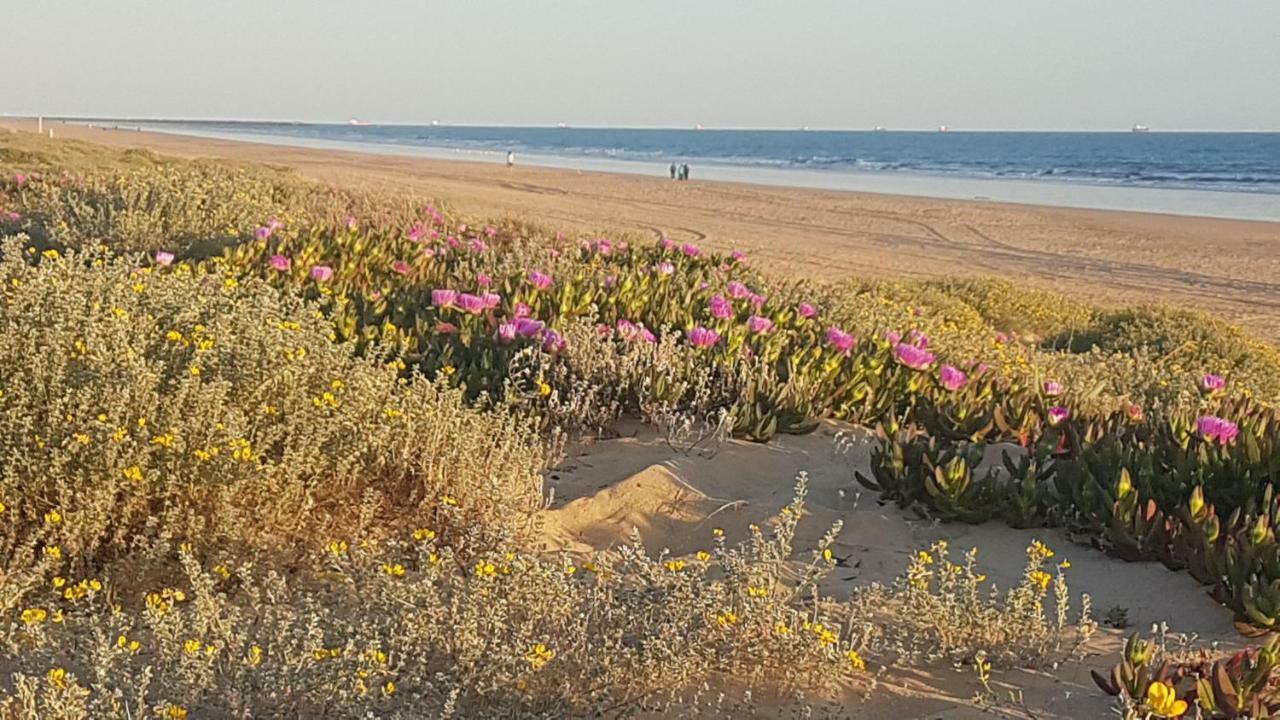 Punta Umbría Hostal Patio Andaluz المظهر الخارجي الصورة